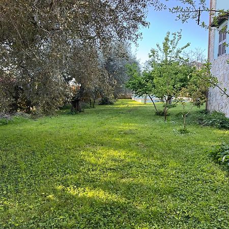 Villa La Piccola Provenza Fiano Romano Exterior foto