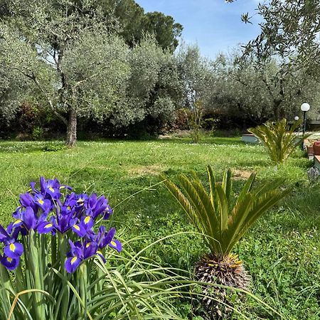 Villa La Piccola Provenza Fiano Romano Exterior foto