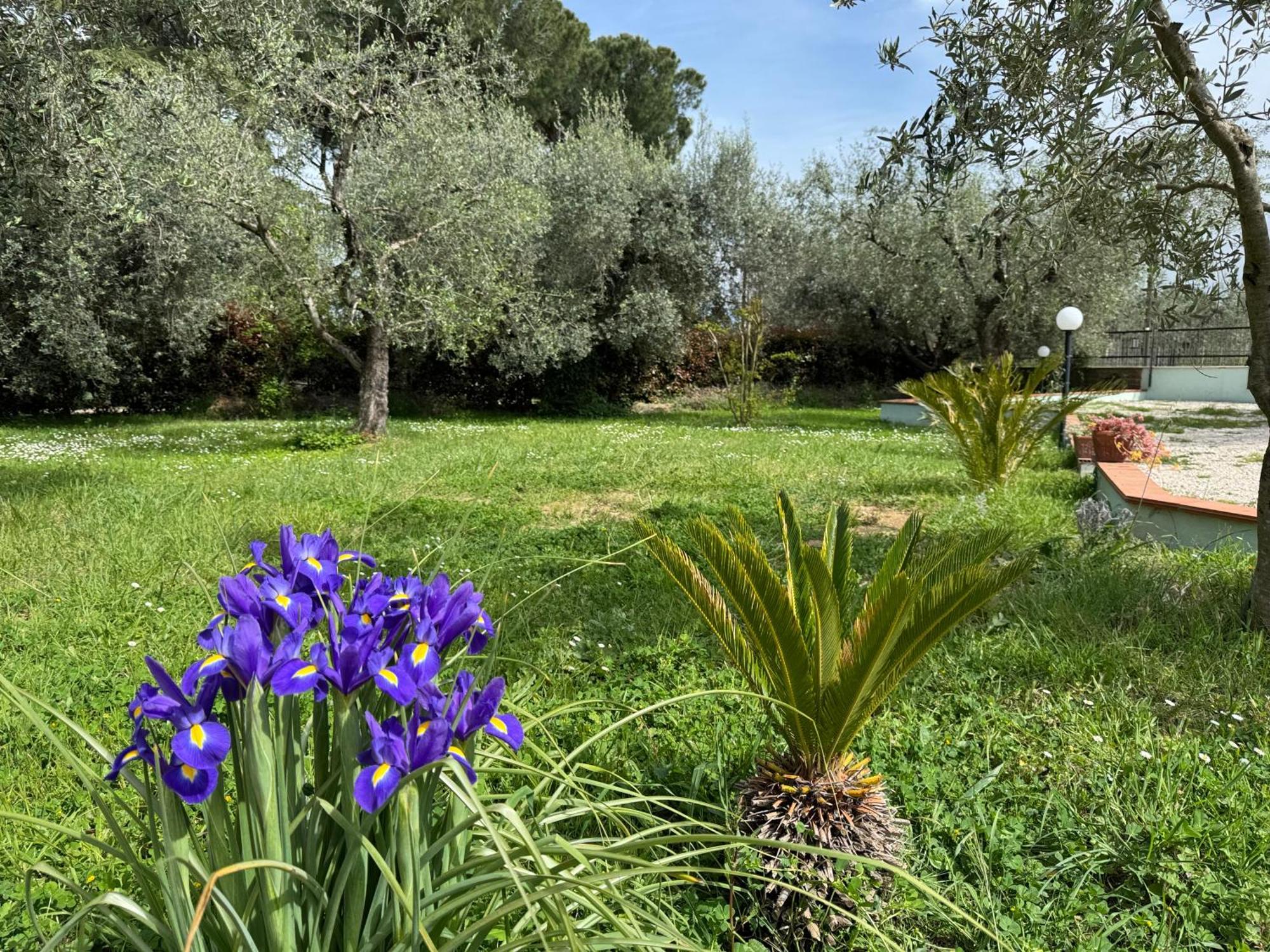 Villa La Piccola Provenza Fiano Romano Exterior foto